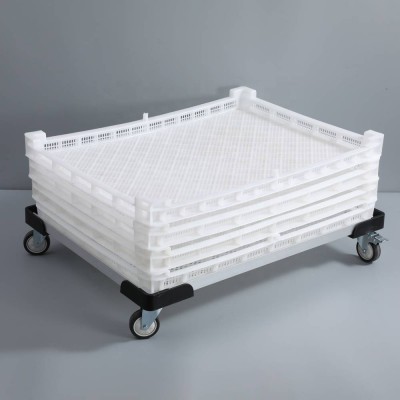 Factory Direct Sale Stackable Perforated Plastic Seafood Drying Tray